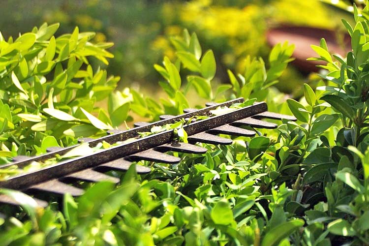 Gartenpflege